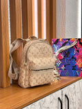 SAC A DOS L.V.V